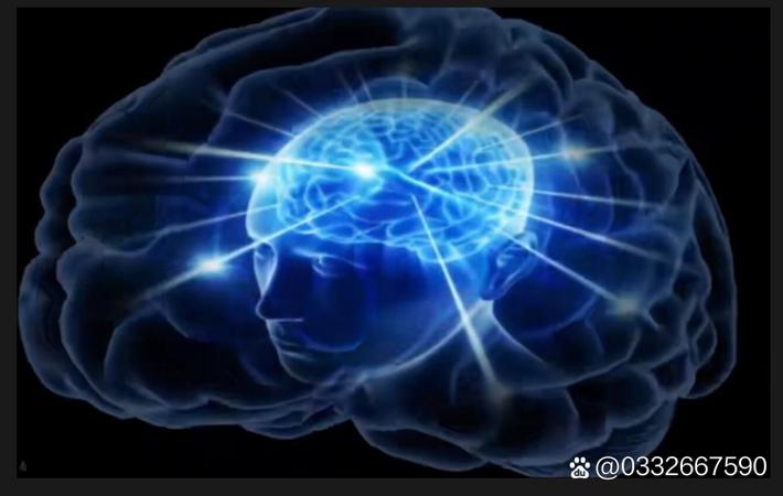 某知名歌手新歌疑似抄袭海外作品，工作室：正在核查